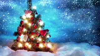 Christmas Tree Loop - Video HD
