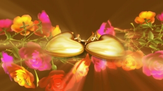Double Locket with Flower Crowns Loop - Video HD