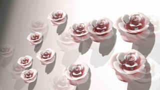 Flower Wall Loop - Video HD