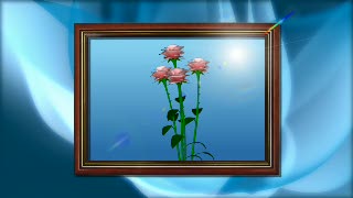 Flowers in a Frame Loop - Video HD