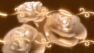 Four Silver Flowers Spinning Loop - Video HD