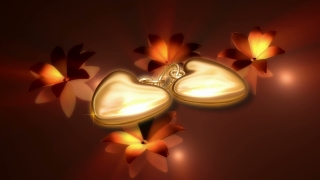 Heart Locket Loop - Video HD