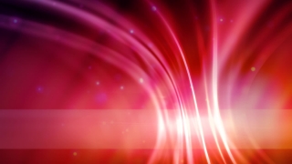 Pink Background with Sparkles Loop - Video HD
