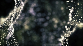 Premium 4K Video Clip, 4K Motion Graphics, Green Screen, Background, Animation, Download