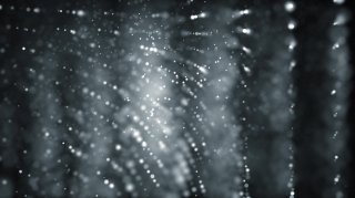 Premium 4K Video Clip, 4K Motion Graphics, Green Screen, Background, Animation, Download