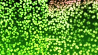 Premium 4K Video Clip, 4K Motion Graphics, Green Screen, Background, Animation, Download