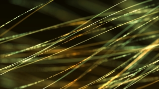 Premium 4K Video Clip, 4K Motion Graphics, Green Screen, Background, Animation, Download