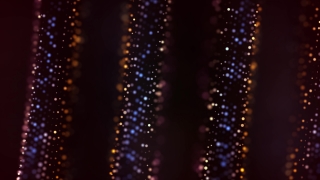 Premium 4K Video Clip, 4K Motion Graphics, Green Screen, Background, Animation, Download