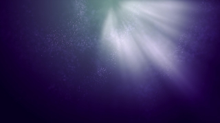 Premium 4K Video Clip, 4K Motion Graphics, Green Screen, Background, Animation, Download