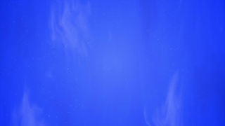 Premium 4K Video Clip, 4K Motion Graphics, Green Screen, Background, Animation, Download