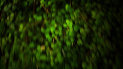 Premium 4K Video Clip, 4K Motion Graphics, Green Screen, Background, Animation, Download