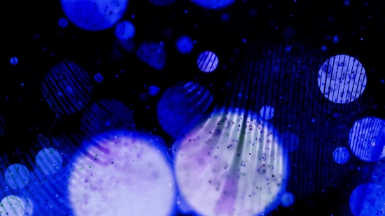 Premium 4K Video Clip, 4K Motion Graphics, Green Screen, Background, Animation, Download