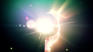 Premium HD Video Clip, HD Motion Graphics, Green Screen, Background, Animation, Download