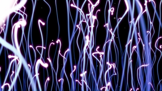 Premium HD Video Clip, HD Motion Graphics, Green Screen, Background, Animation, Download