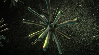 Premium HD Video Clip, HD Motion Graphics, Green Screen, Background, Animation, Download