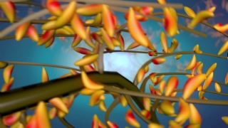 Premium HD Video Clip, HD Motion Graphics, Green Screen, Background, Animation, Download