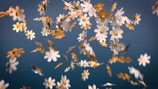 Premium HD Video Clip, HD Motion Graphics, Green Screen, Background, Animation, Download