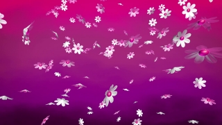 Premium HD Video Clip, HD Motion Graphics, Green Screen, Background, Animation, Download