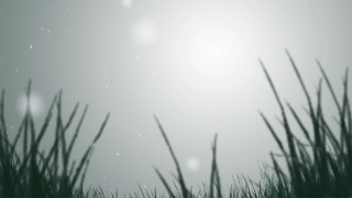 Premium HD Video Clip, HD Motion Graphics, Green Screen, Background, Animation, Download