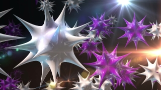 Premium HD Video Clip, HD Motion Graphics, Green Screen, Background, Animation, Download