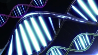 Premium HD Video Clip, HD Motion Graphics, Green Screen, Background, Animation, Download