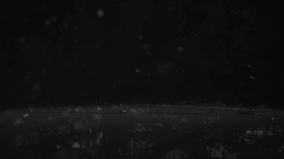 Premium HD Video Clip, HD Motion Graphics, Green Screen, Background, Animation, Download