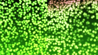 Premium HD Video Clip, HD Motion Graphics, Green Screen, Background, Animation, Download