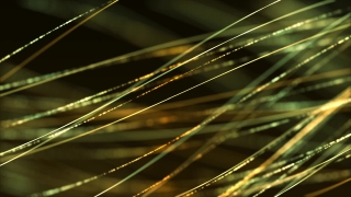 Premium HD Video Clip, HD Motion Graphics, Green Screen, Background, Animation, Download
