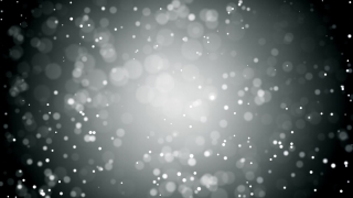 Premium HD Video Clip, HD Motion Graphics, Green Screen, Background, Animation, Download
