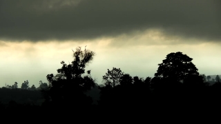 Premium HD Video Clip, HD Stock Footage, Stock Video Clip, Download