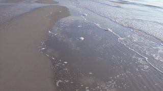 Premium HD Video Clip, HD Stock Footage, Stock Video Clip, Download