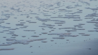 Premium HD Video Clip, HD Stock Footage, Stock Video Clip, Download