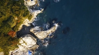 Premium HD Video Clip, HD Stock Footage, Stock Video Clip, Download