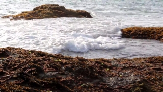 Premium HD Video Clip, HD Stock Footage, Stock Video Clip, Download