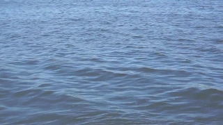 Premium HD Video Clip, HD Stock Footage, Stock Video Clip, Download