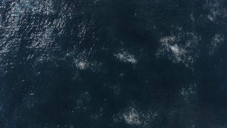 Premium HD Video Clip, HD Stock Footage, Stock Video Clip, Download