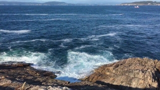 Premium HD Video Clip, HD Stock Footage, Stock Video Clip, Download