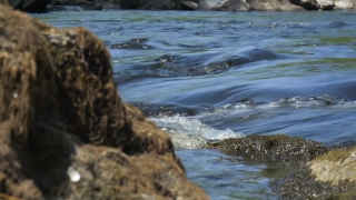 Premium HD Video Clip, HD Stock Footage, Stock Video Clip, Download