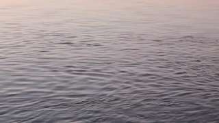 Premium HD Video Clip, HD Stock Footage, Stock Video Clip, Download