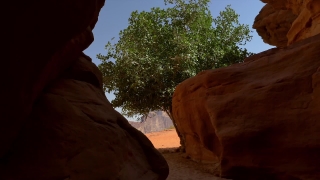 Premium HD Video Clip, HD Stock Footage, Stock Video Clip, Download