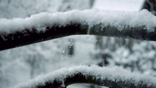 Premium HD Video Clip, HD Stock Footage, Stock Video Clip, Download