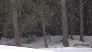 Premium HD Video Clip, HD Stock Footage, Stock Video Clip, Download