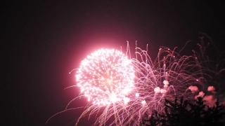 Premium HD Video Clip, HD Stock Footage, Stock Video Clip, Download