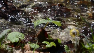 Premium HD Video Clip, HD Stock Footage, Stock Video Clip, Download