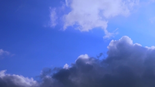 Premium HD Video Clip, HD Stock Footage, Stock Video Clip, Download
