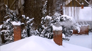 Premium HD Video Clip, HD Stock Footage, Stock Video Clip, Download