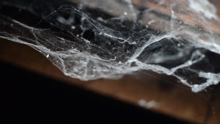 Premium HD Video Clip, HD Stock Footage, Stock Video Clip, Download