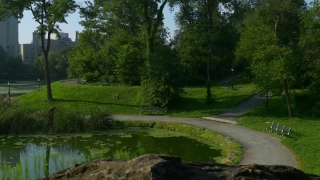 Premium HD Video Clip, HD Stock Footage, Stock Video Clip, Download
