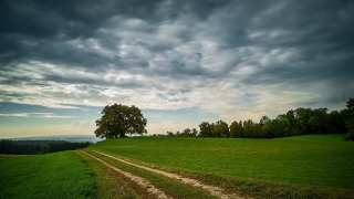Premium HD Video Clip, HD Stock Footage, Stock Video Clip, Download