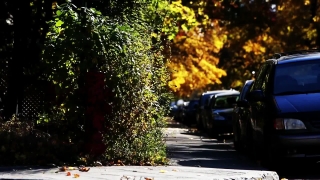 Premium HD Video Clip, HD Stock Footage, Stock Video Clip, Download